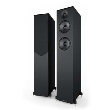 Acoustic Energy AE309 grindinės kolonėlės (pora)