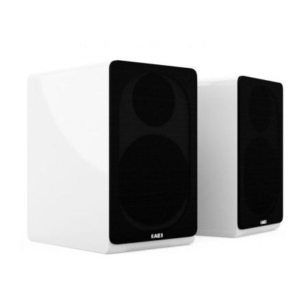 Acoustic Energy AE300 lentyninės kolonėlės (pora)