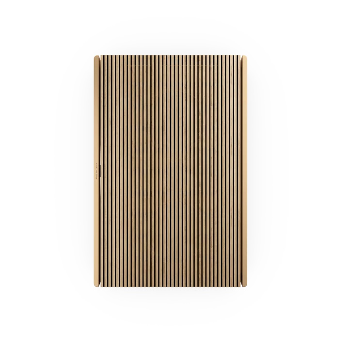 Bang & Olufsen Beosound Level kolonėlė #Nemokamas pristatymas