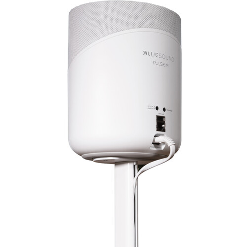 Bluesound PULSE M & FLEX Adjustable Stand stovai