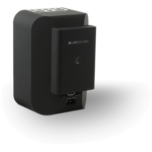 Bluesound BP100 Pulse Flex baterija
