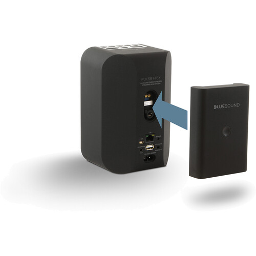 Bluesound BP100 Pulse Flex baterija