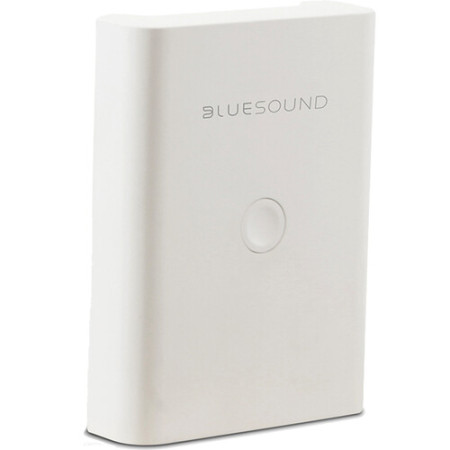 Bluesound BP100 Pulse Flex baterija
