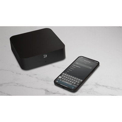 Bluesound HUB BluOS tinklo grotuvas