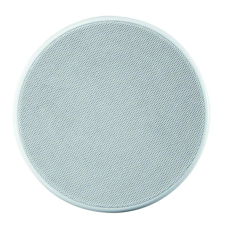 Canton InCeiling 845 Įmontuojamos į sieną / lubas garso kolonėlė