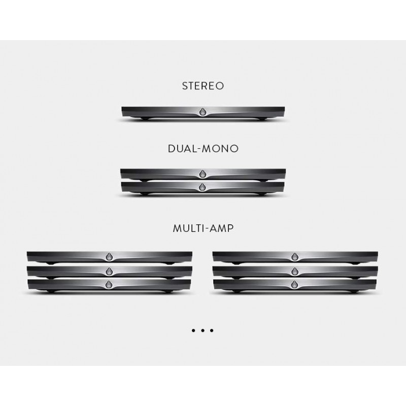 Devialet Expert 1000 Pro Dual, stereo stiprintuvas su tinklo grotuvu, galingumas 2x1000W