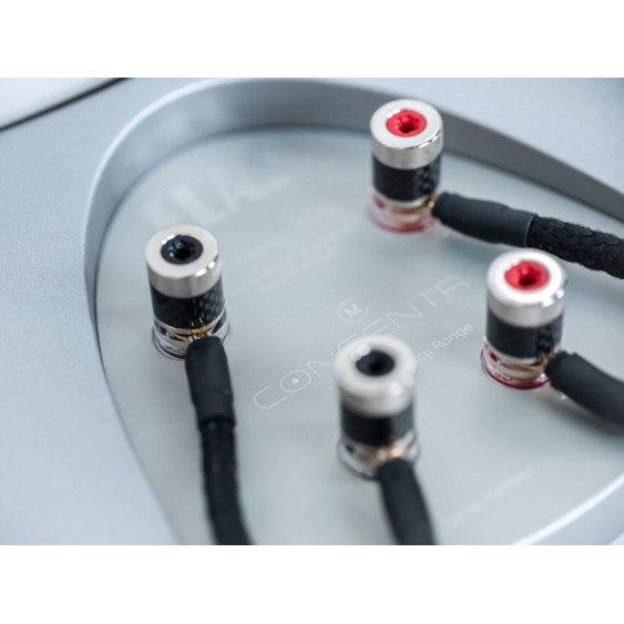 ELAC Concentro High-End garso kolonėlės. Kaina už 1vnt.