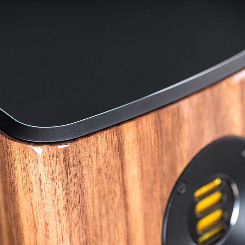 ELAC VELA BS 404  lentyninės garso kolonėlės.