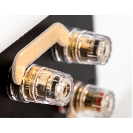 ELAC VELA BS 404  lentyninės garso kolonėlės.