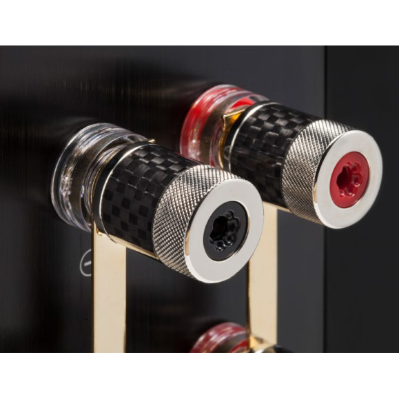 ELAC Adante AS-61 lentyninės garso kolonėlės EISA apdovanojimas 2018-2019m.