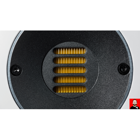 ELAC Carina FS247.4 grindinės kolonėlės kaina (pora)  #Nemokamas pristatymas