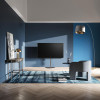 LOEWE bild i.48 dr+  OLED 4K 48