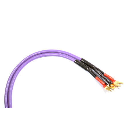 Melodika Purple Rain MDSC25s Kolonėlių kabelis, Kaina už 1,5m. #Nemokamaspristatymas