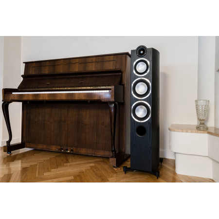 Taga Harmony Platinum F-100 v.3  elegantiškos 3 juostų grindinės garso kolonėlės , galingumas 250W, kaina už 2 vnt .