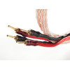 Taga Harmony kolonėlių kabelis Platinum-18 18 AWG OFC Braided Speaker Cable  su Banan tipo kištukais