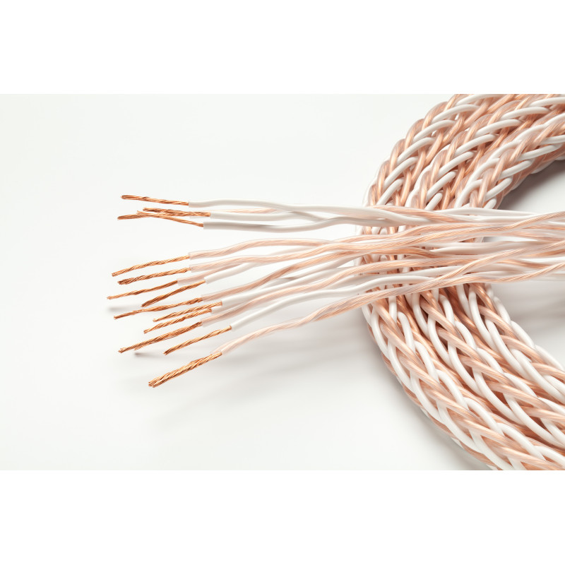 Taga Harmony kolonėlių kabelis Platinum-18 18 AWG OFC Braided Speaker Cable  su Banan tipo kištukais