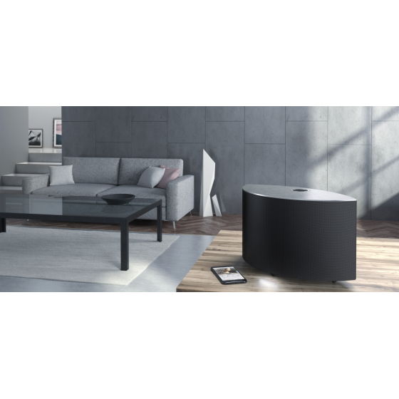 Technics Belaidis garsiakalbis SC-C50