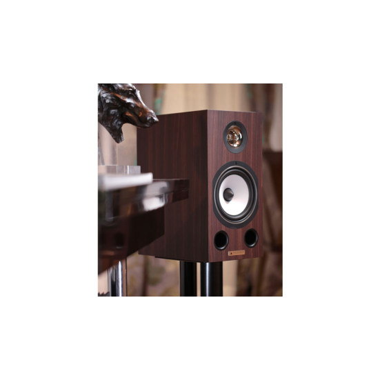 Triangle Esprit Comete EZ lentyninės namų kino garso kolonėlės 2 vnt : Nemokamas pristatymas