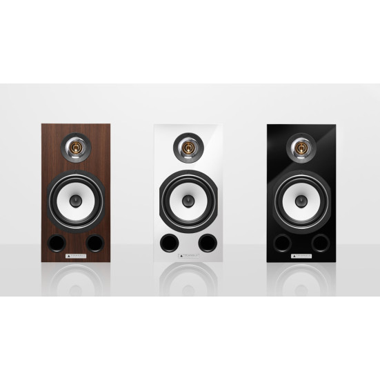 Triangle Esprit Comete EZ lentyninės namų kino garso kolonėlės 2 vnt : Nemokamas pristatymas