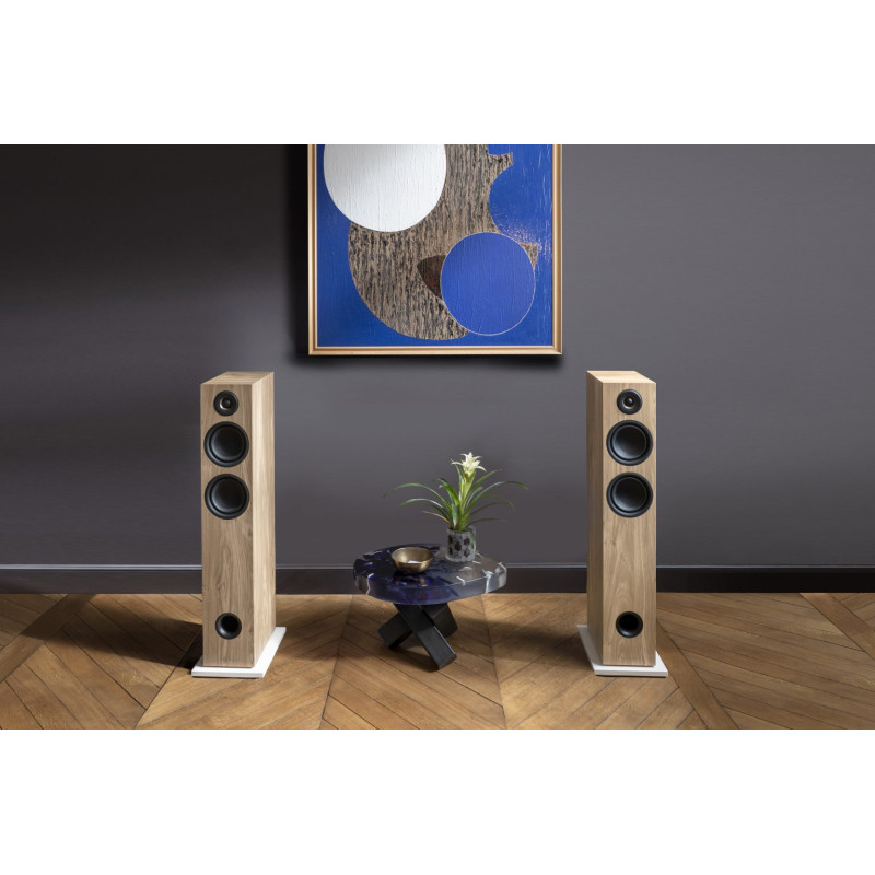 Triangle LN05A aktyvios kolonėlės Bluetooth, RCA, AUX #Nemokamas pristatymas