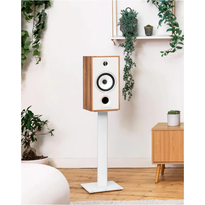 Triangle Borea BR04 Light Oak lentyninės garso kolonėlės(pora), galingumas 110W #Nemokamas pristatymas