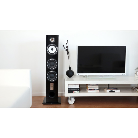 Triangle Esprit ANTAL EZ  grindinės garso kolonėlės 2 vnt : Nemokamas pristatymas