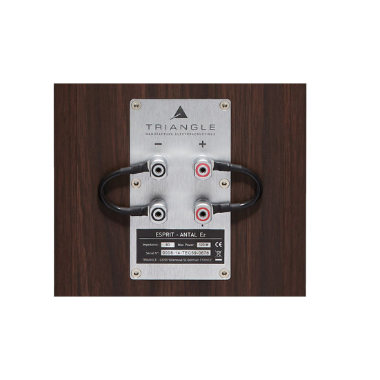 Triangle Esprit ANTAL EZ  grindinės garso kolonėlės 2 vnt : Nemokamas pristatymas