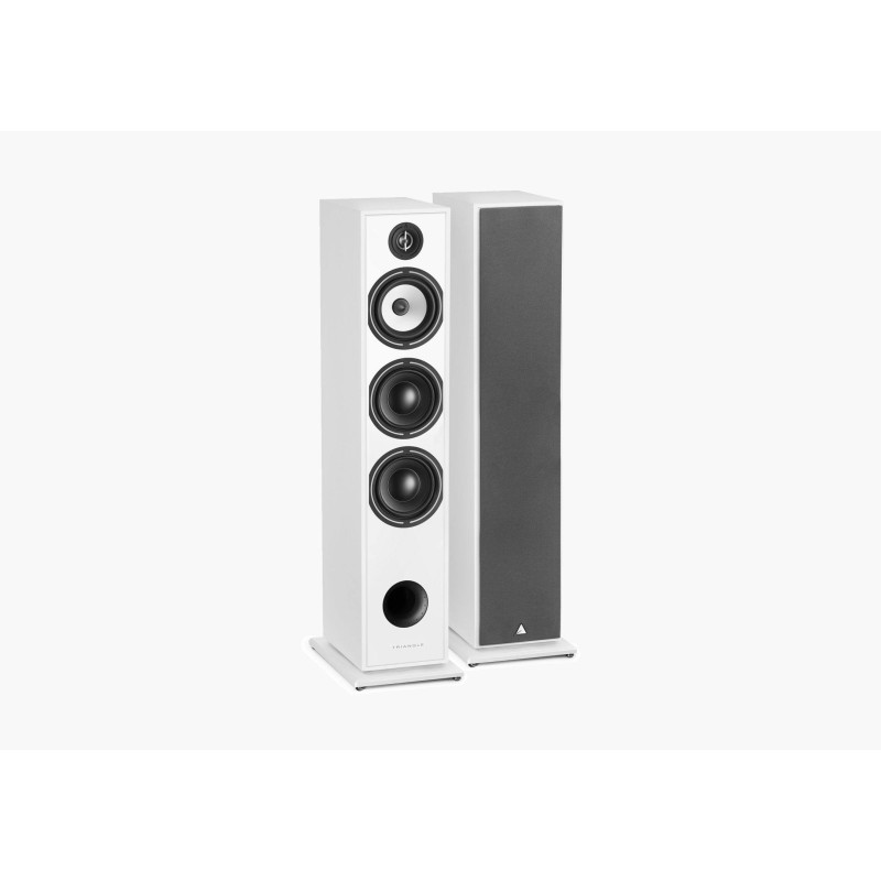 Triangle Borea BR08 grindinės garso kolonėlės, galingumas 150W, kaina už 2 vnt  #Nemokamas pristatymas