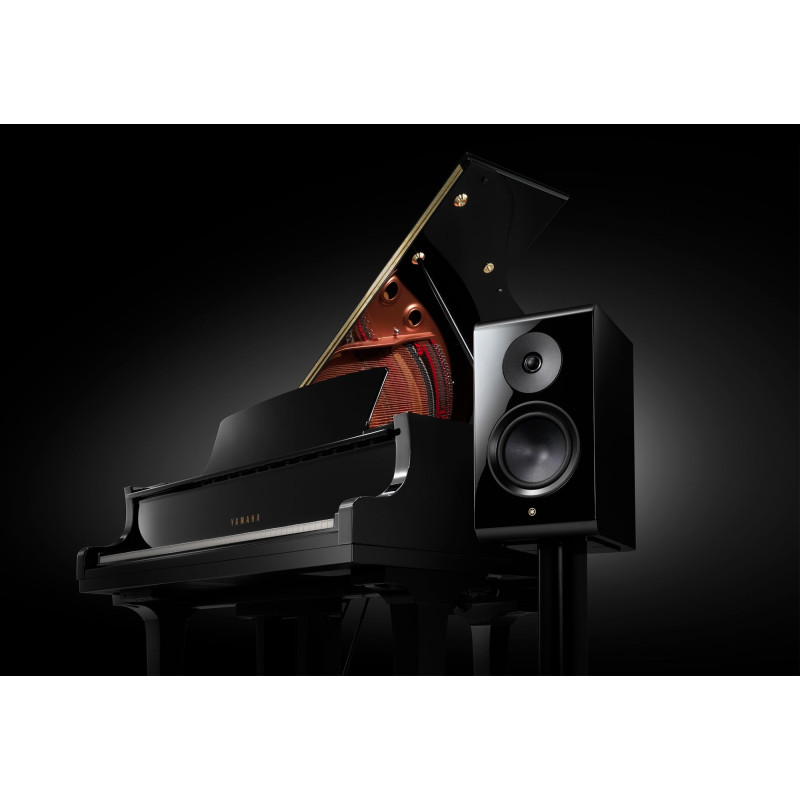 Yamaha NS-800A lentyninės kolonėlės