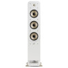 POLK AUDIO Signature ELITE ES60 grindinės kolonėlės(pora) #Nemokamas pristatymas