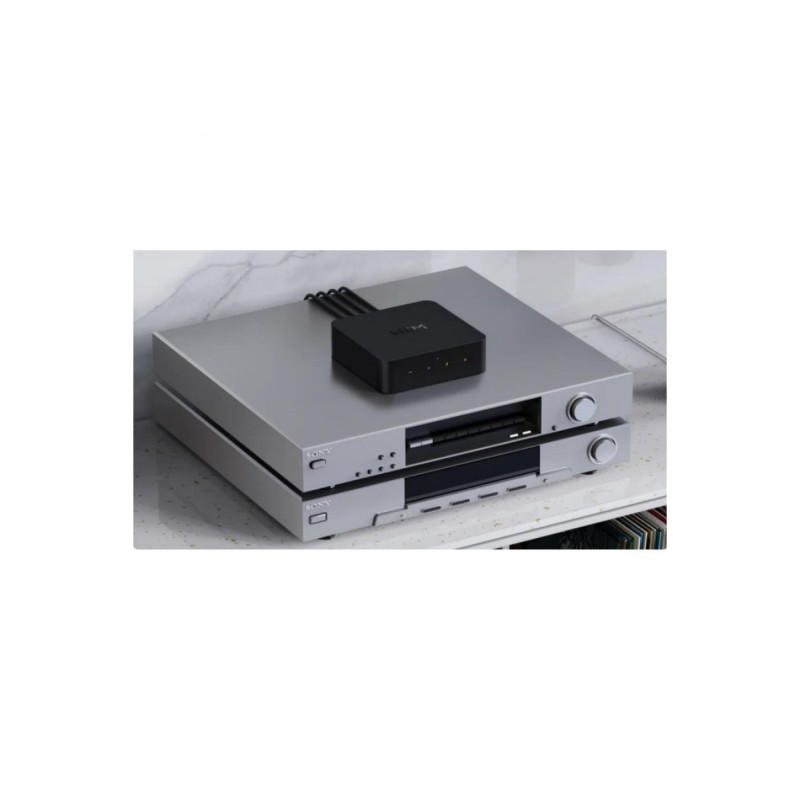 WiiM Pro Plus didelės raiškos tinklo grotuvas