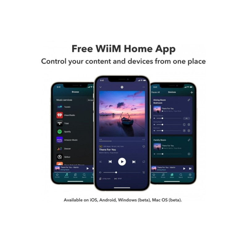 WiiM Pro Plus didelės raiškos tinklo grotuvas
